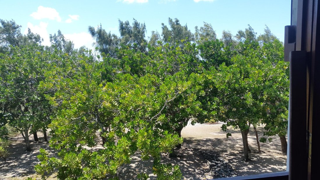 Beach Front Land In Poste Lafayette, Rivière Du Rempart District