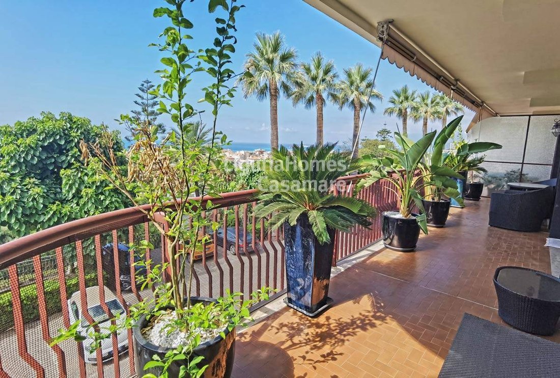 Apartment in Bordighera, Liguria, Italy 5 - 13254062