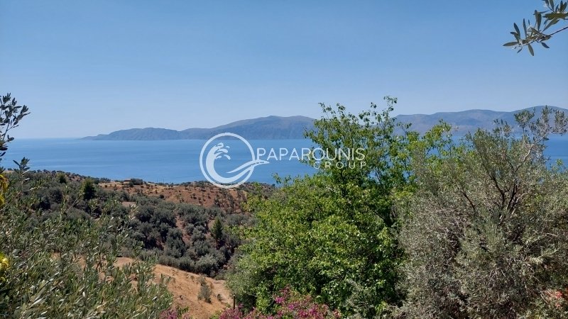 Land in Poros, Attica, Greece 4 - 13260243