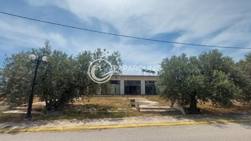 Koinotita Thermisias, Ermioni, Greece 4 - 13260246