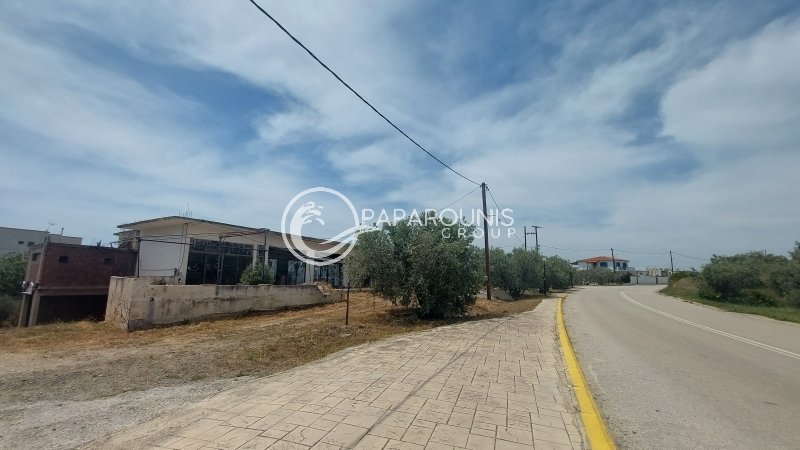 Koinotita Thermisias, Ermioni, Greece 5 - 13260246