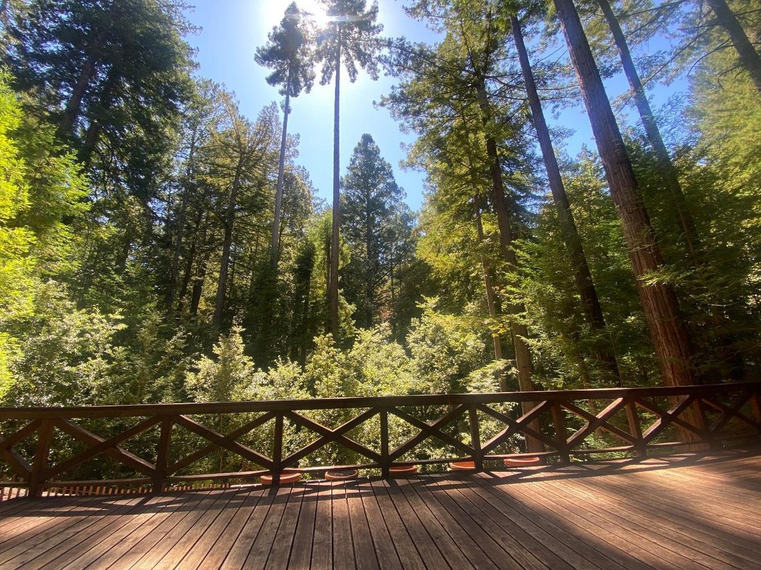 331 Back Road In La Honda, California, United States For Sale (13162835)