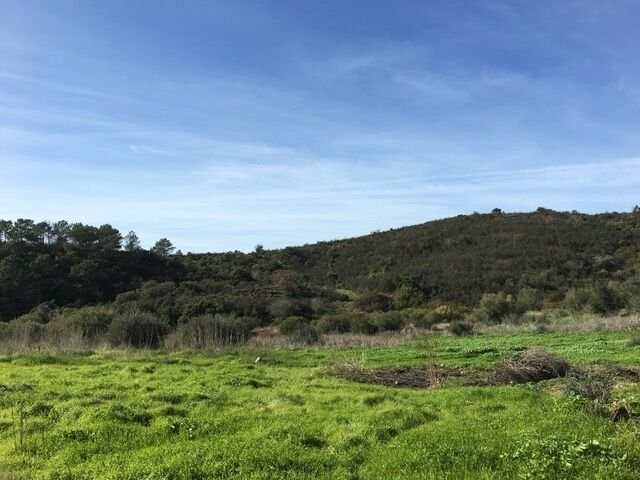 Land in Bordeira, Algarve, Portugal 4 - 13265290