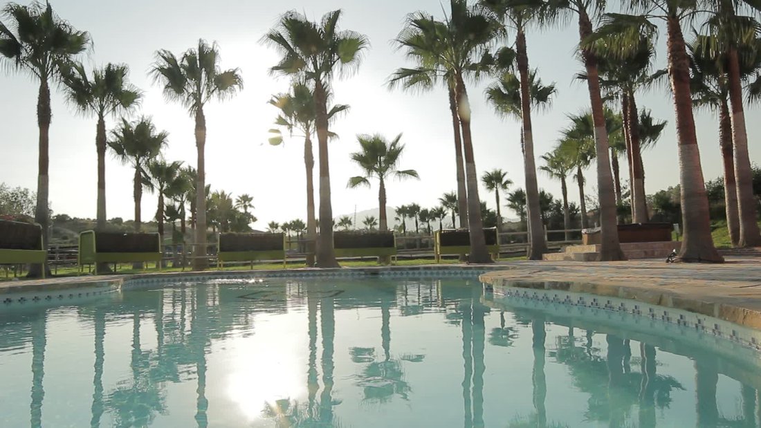 Finca in Coin, Andalusia, Spain 3 - 13274302