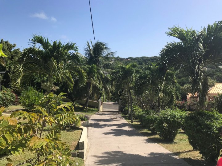 Casa a St. George's, Parrocchia di Saint George, Grenada 4 - 13280857