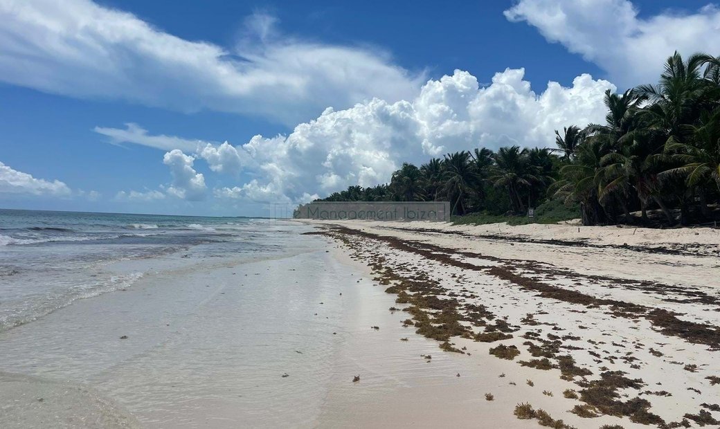 Land In Quintana Roo, Mexico For Sale (13249821)