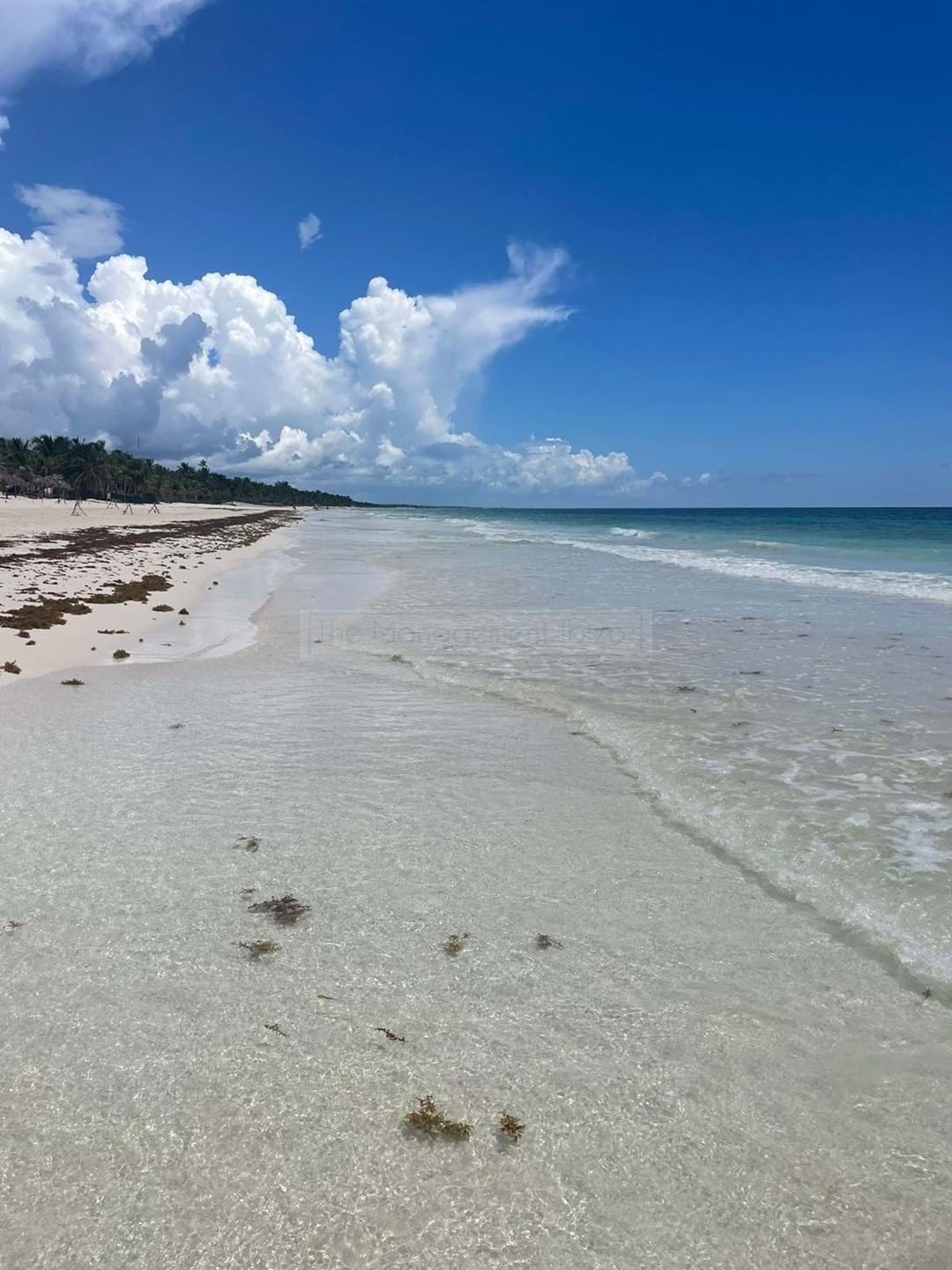 Land In Quintana Roo, Mexico For Sale (13249821)