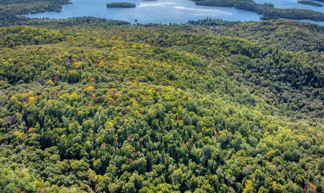 Entrelacs, Lanaudière In Entrelacs, Quebec, Canada For Sale (12732632)