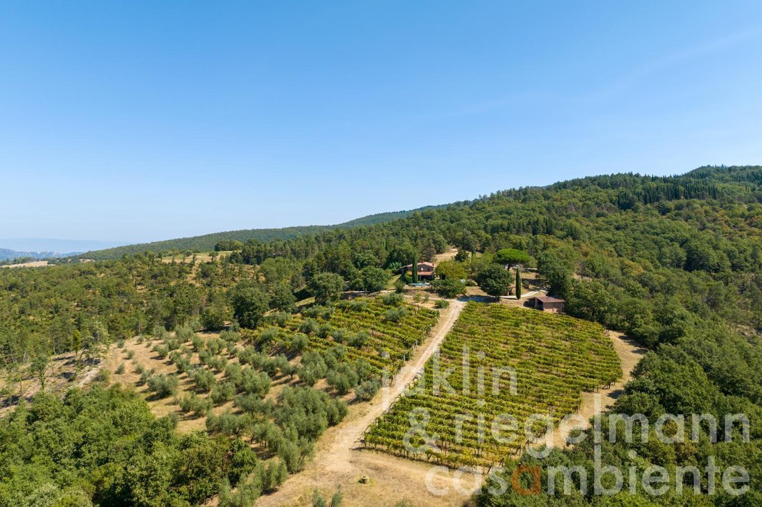 Domaine à Montegabbione, Ombrie, Italie 3 - 13282086