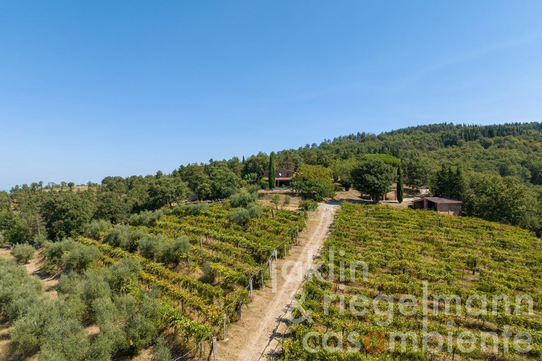 Domaine à Montegabbione, Ombrie, Italie 4 - 13282086