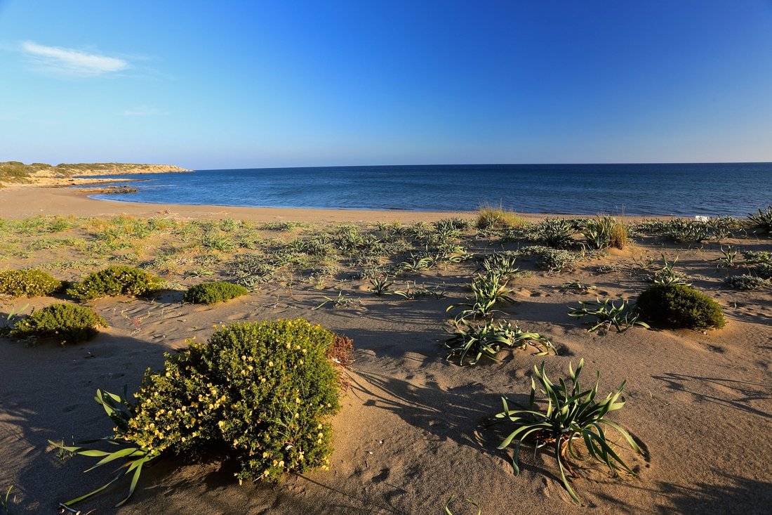 Land in Rhodes, Aegean, Greece 3 - 13285384