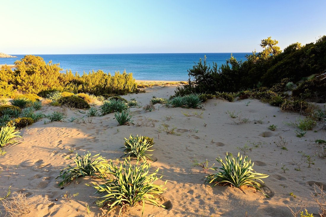 Land in Rhodes, Aegean, Greece 4 - 13285384