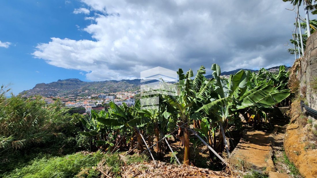 Land in Curral das Freiras, Madeira, Portugal 4 - 13000644