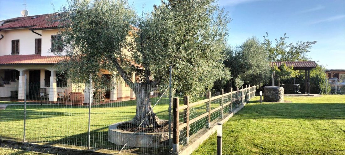 Country House in Grosseto, Tuscany, Italy 3 - 13288014
