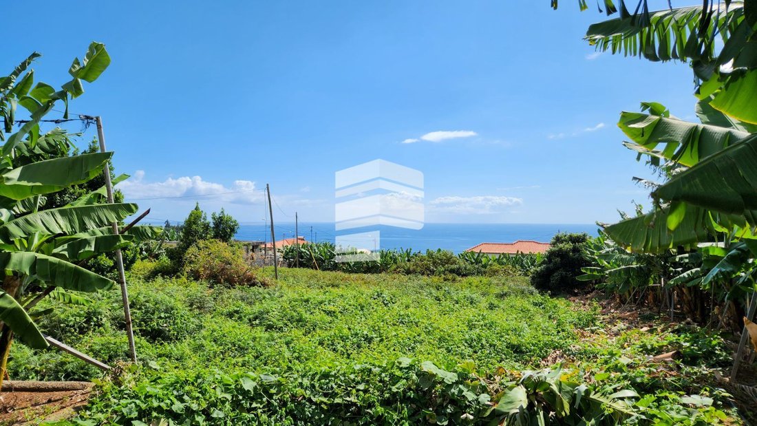 Land in Curral das Freiras, Madeira, Portugal 1 - 13000644