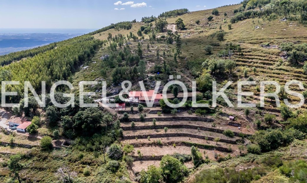 Renovated Country House In The Hills Of Monchique In Fóia, Algarve
