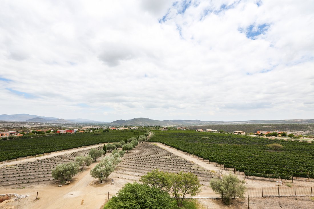 Incredible Lot In Viñedo Sm In Guanajuato, Guanajuato, Mexico For Sale