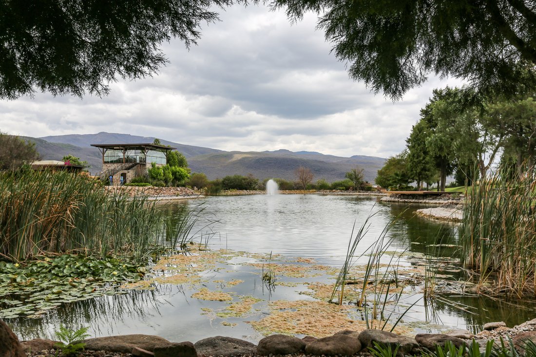 Incredible Lot In Viñedo Sm In Guanajuato, Guanajuato, Mexico For Sale