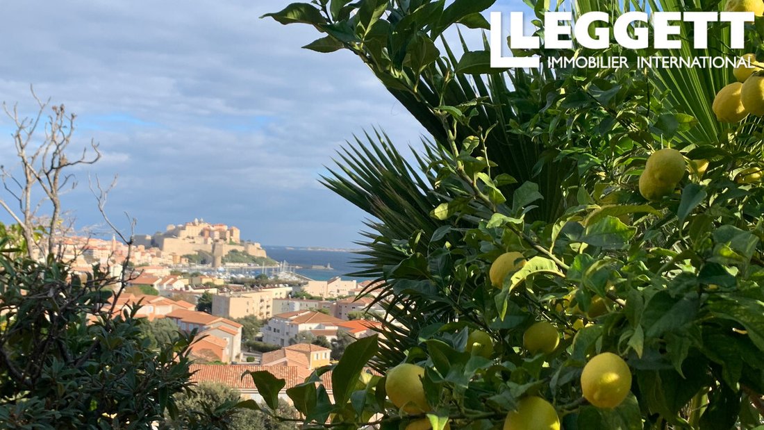 Estate With Swimming Pool Rare 3 900 M² Of Land In In Lumio, Corsica