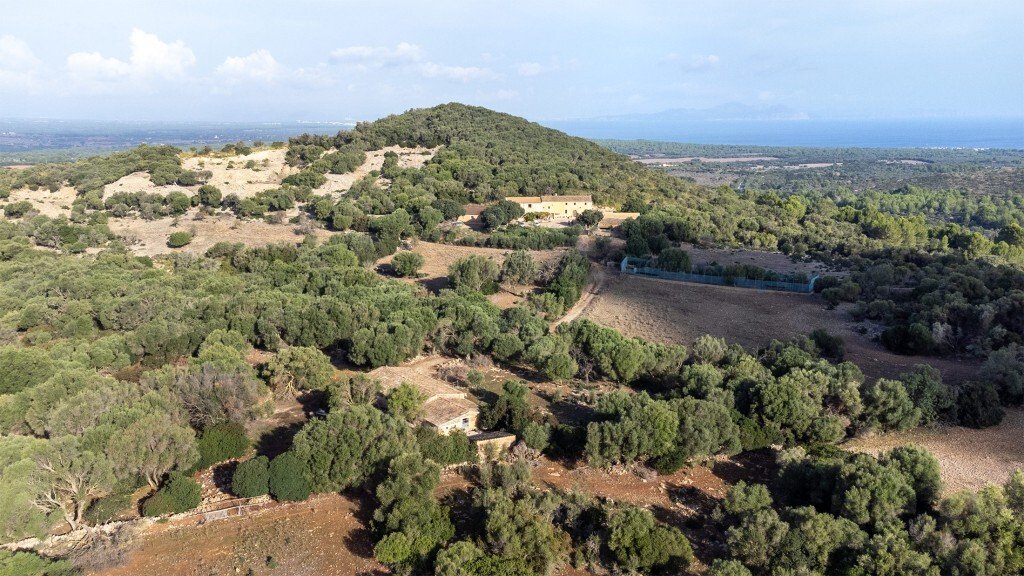 Farm Ranch in Colonia de Sant Pere, Arta, Balearic Islands 3 - 13308023