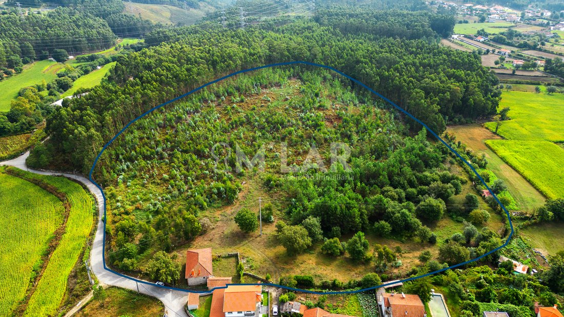 Farm Ranch in Pedralva, Braga, Portugal 5 - 13307476