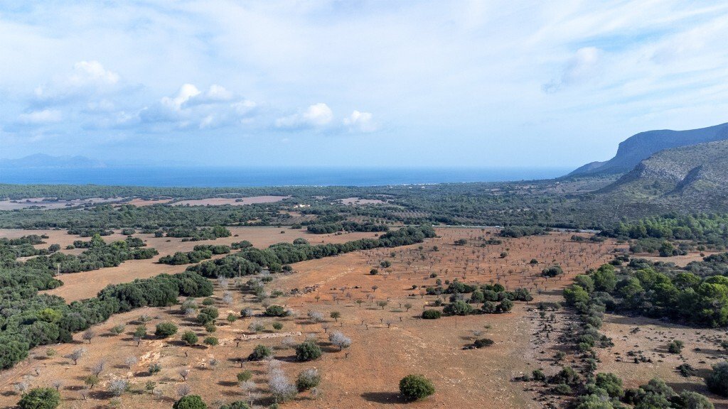Farm Ranch in Colonia de Sant Pere, Arta, Balearic Islands 5 - 13308023