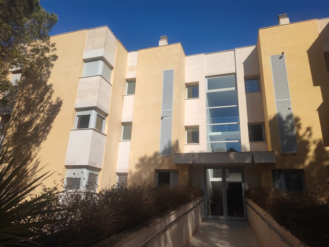 Apartment in Sol de Mallorca, Calvia, Balearic Islands 2 - 13308453