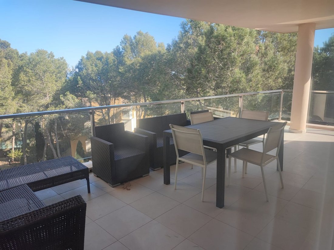 Apartment in Sol de Mallorca, Calvia, Balearic Islands 1 - 13308453