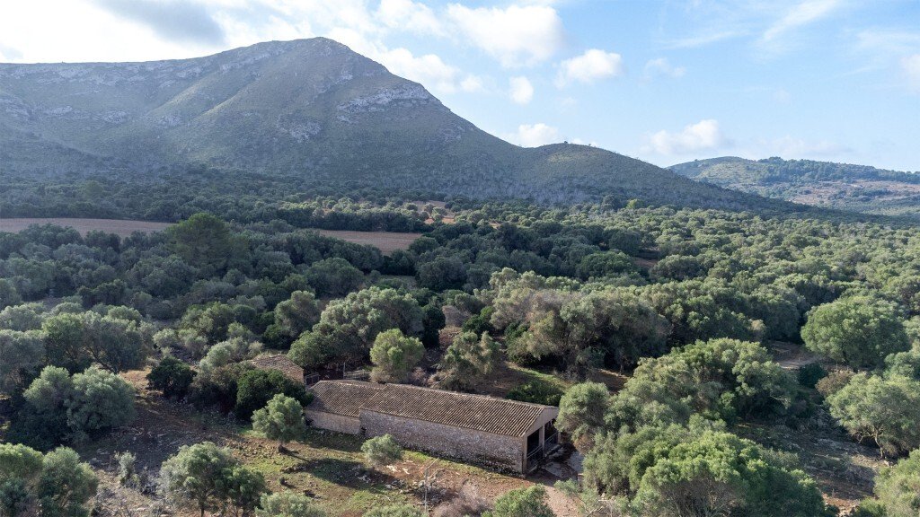 Farm Ranch in Colonia de Sant Pere, Arta, Balearic Islands 4 - 13308023