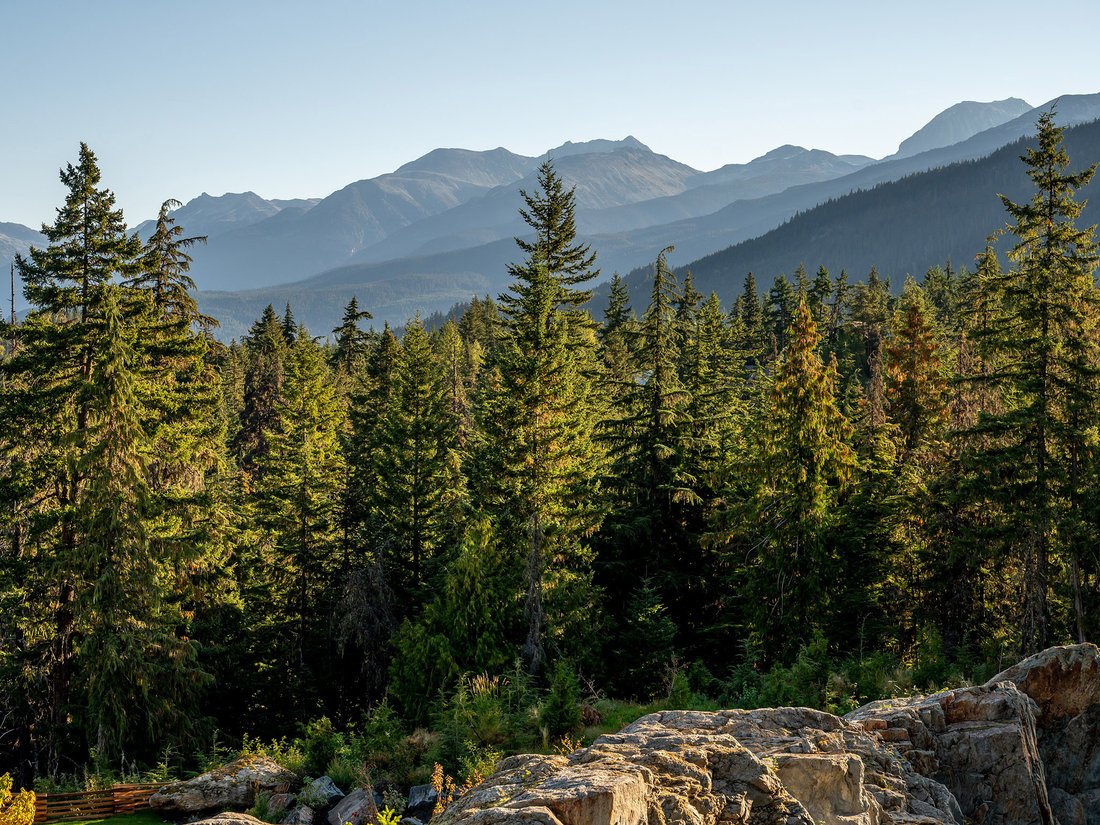 Hillside Property With Whistler Mountain In Whistler, British Columbia, Canada For Sale (12183806)