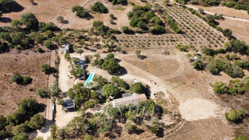 Villa in Center, Olbia, Italy 4 - 13322165