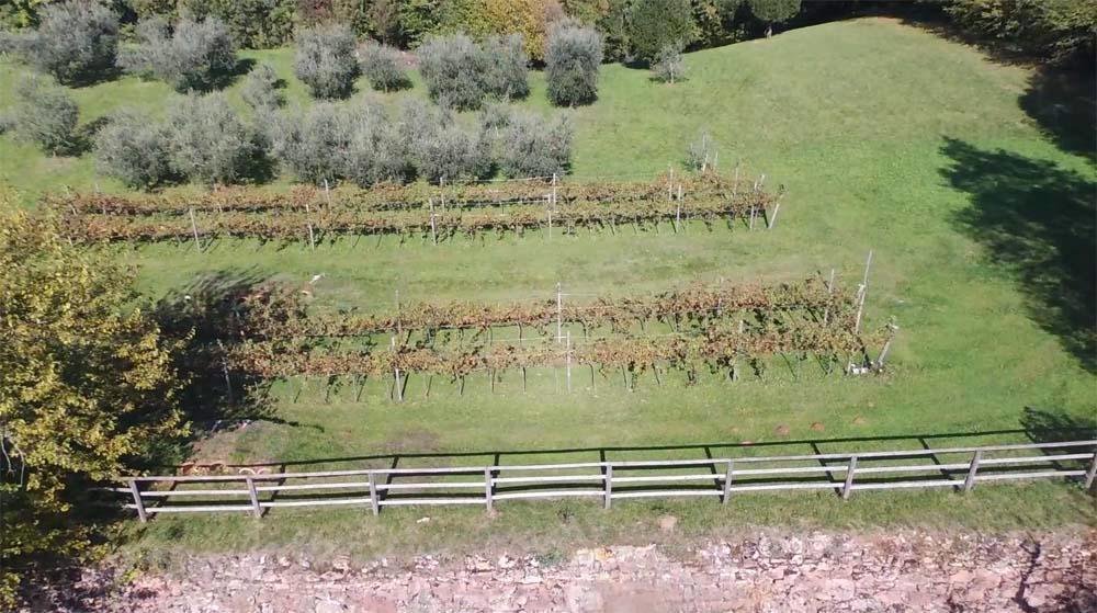 House in Center, Vicenza, Veneto 4 - 11309760