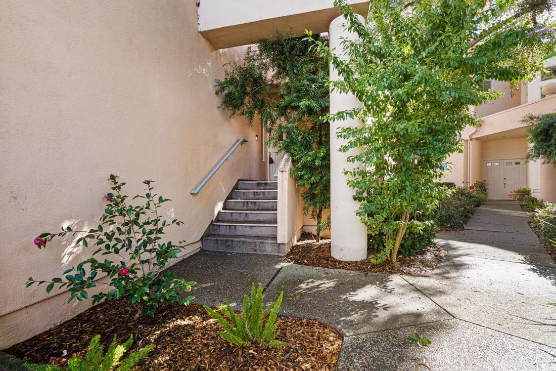 Rare And Luxurious Home In Redwood City, California, United States For