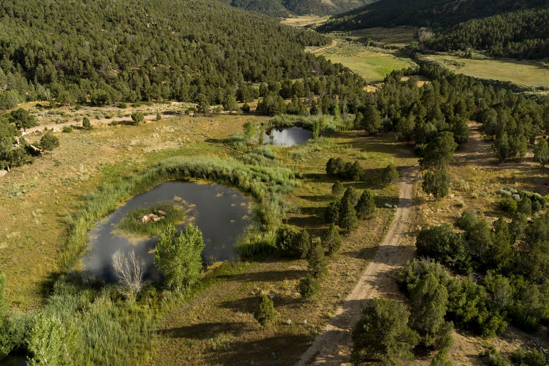 er Creek Ranch In Mancos, Colorado, United States For Sale (13322487)