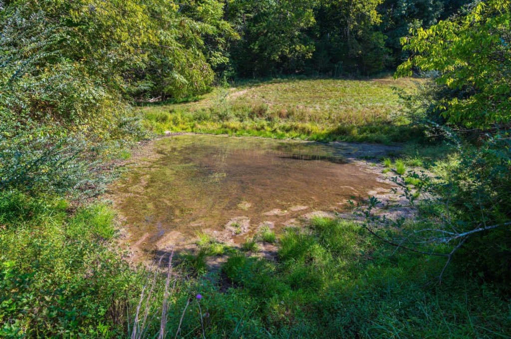 Lots And Land Pikeville In Pikeville, Tennessee, United States For Sale