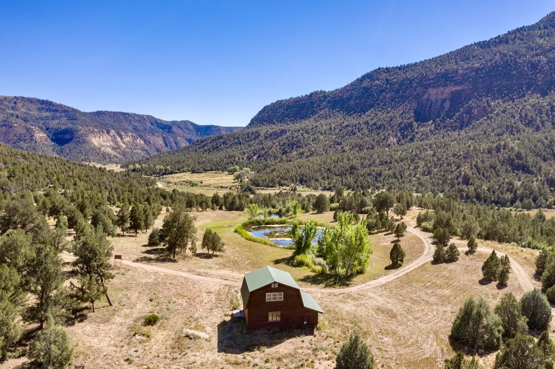 Weber Creek Ranch In Mancos, Colorado, United States For Sale (13322487)