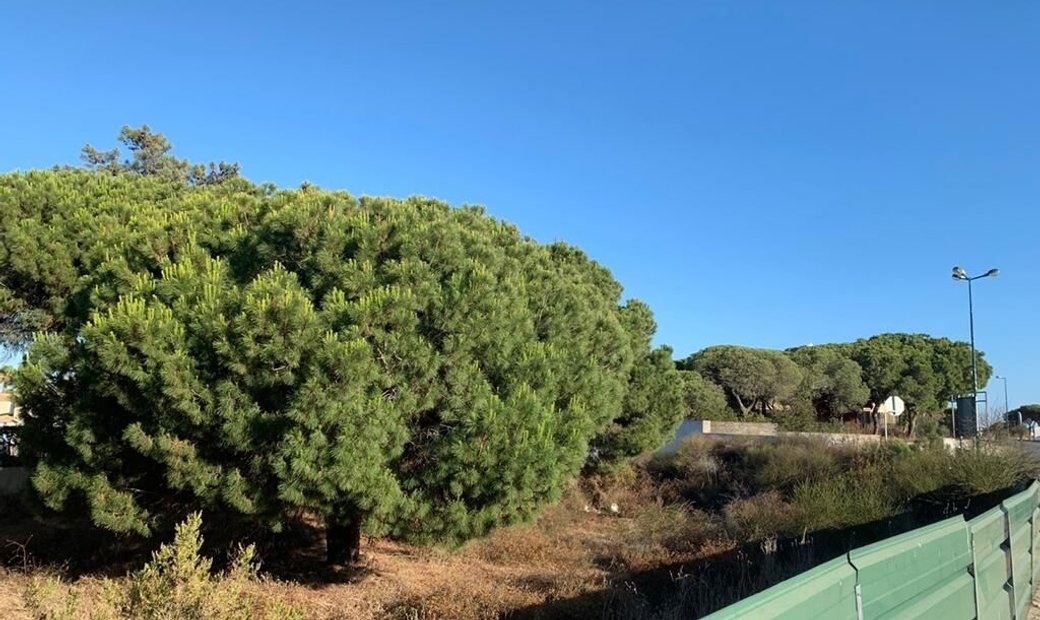 Land Plot In Vale Do Garrão, Algarve In Almancil, Algarve, Portugal For Sale (13329201)