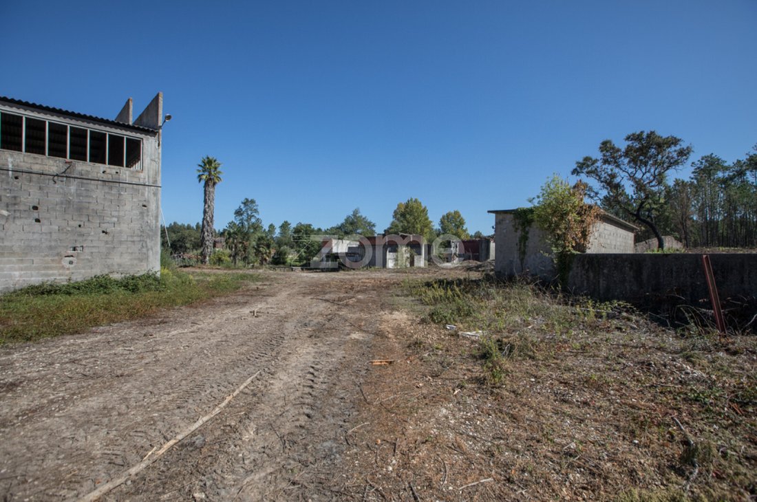 Cantanhede House In Cantanhede, Portugal, Coimbra District, Portugal