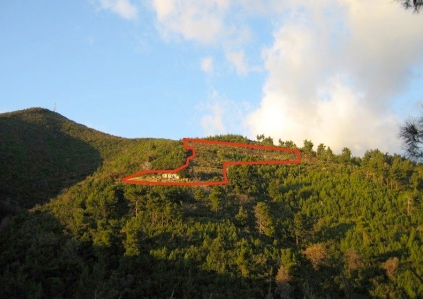 Land in Budva, Budva Municipality, Montenegro 5 - 13331425