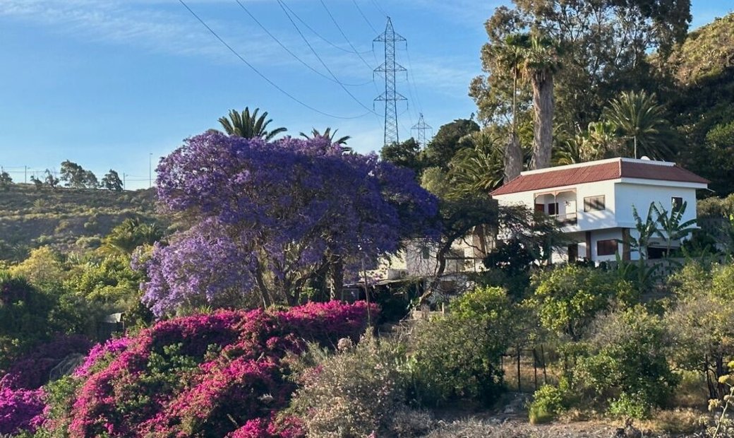 Country House For Sell In Palmas De Gran In Palmas De Gran Canaria, Las