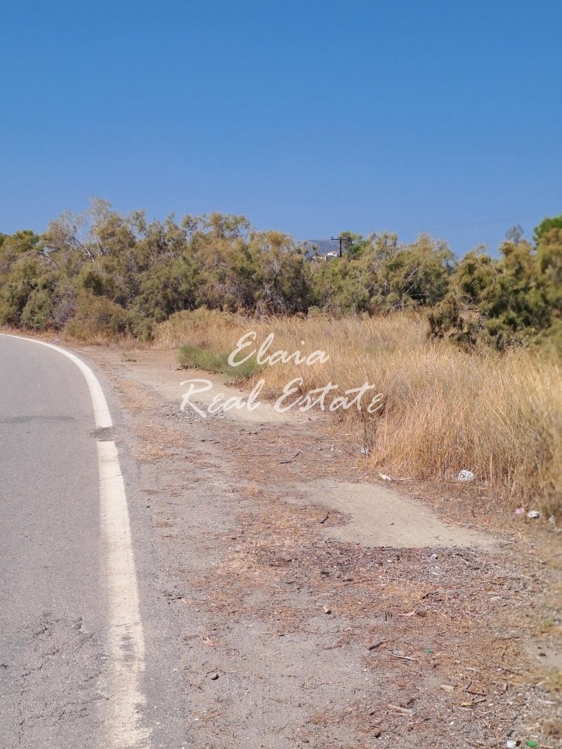 Land in Ermioni, Peloponnese, Western Greece and the Ionian, Greece 2 - 13332066