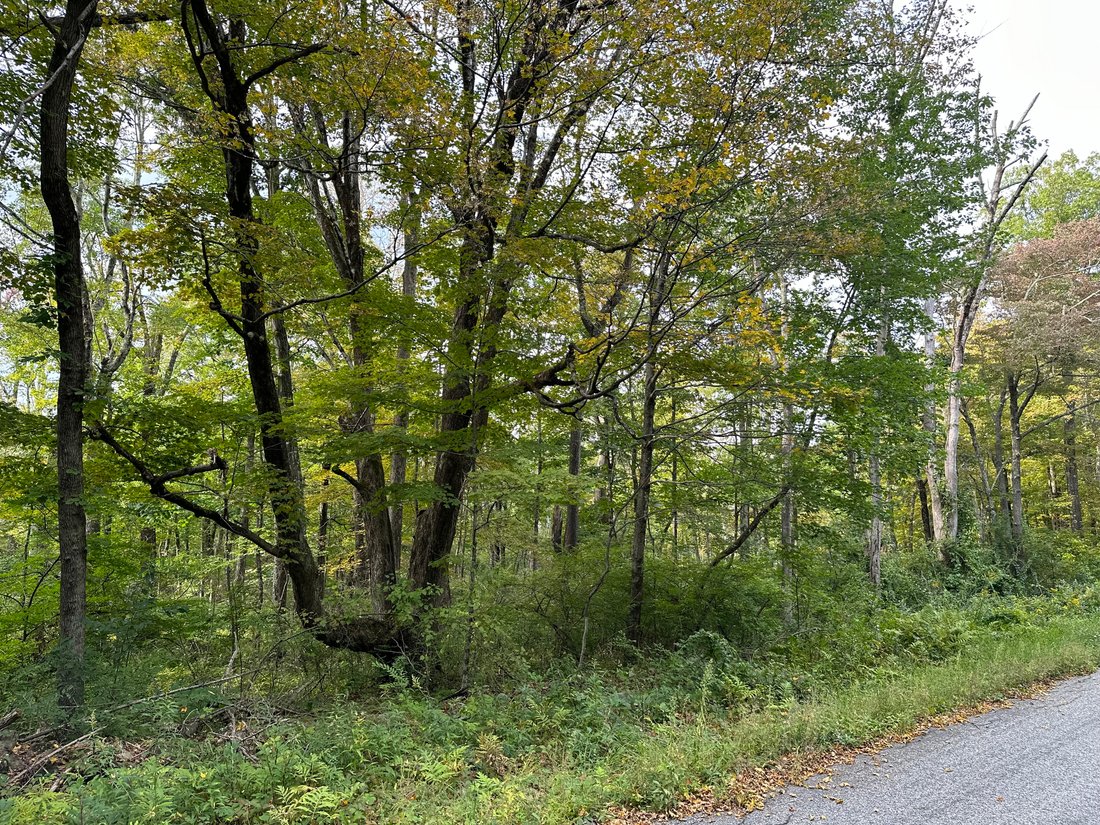 Land in Warren, Connecticut, United States 5 - 13334106