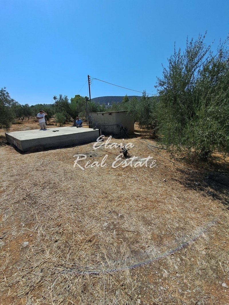Land in Ermioni, Peloponnese, Western Greece and the Ionian, Greece 5 - 13332066