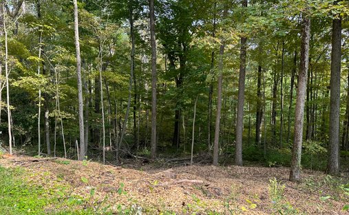 Land in Warren, Connecticut, United States 1