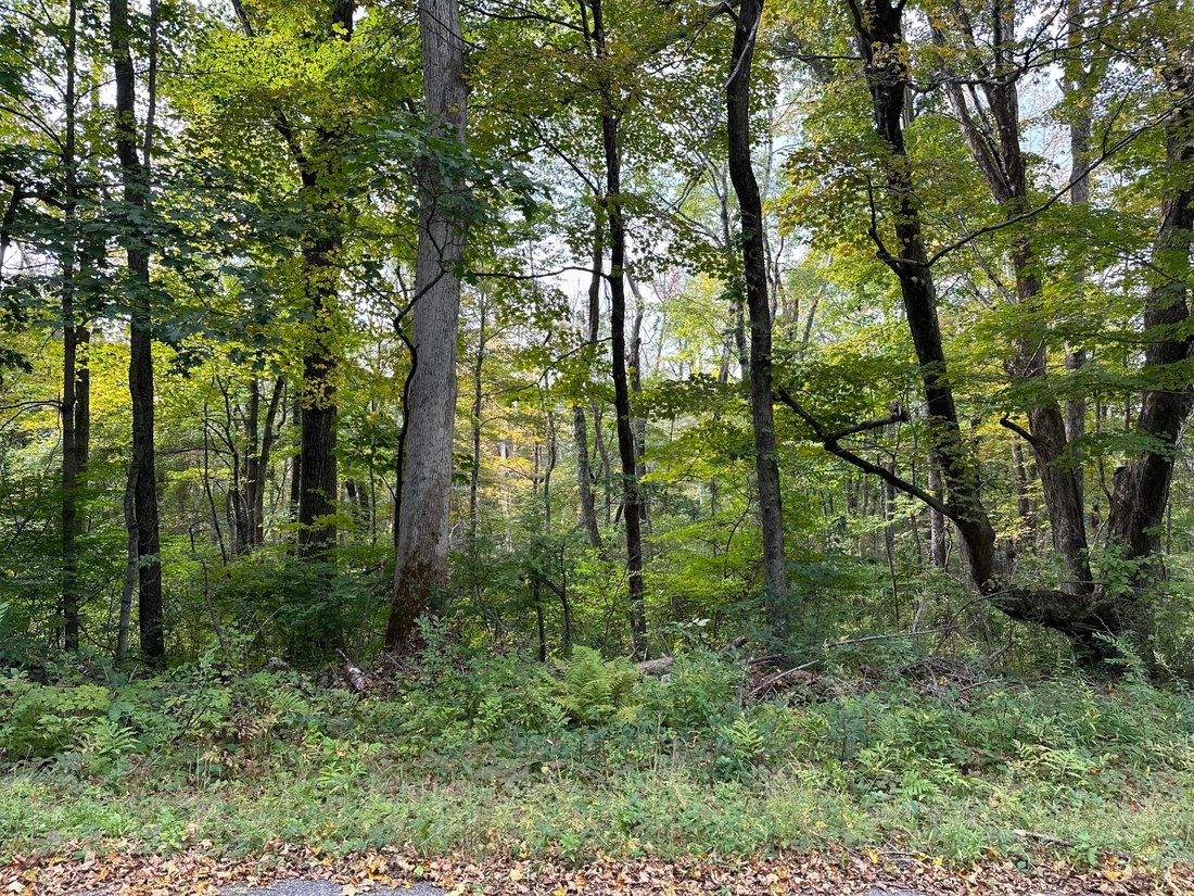 Land in Warren, Connecticut, United States 4 - 13334106