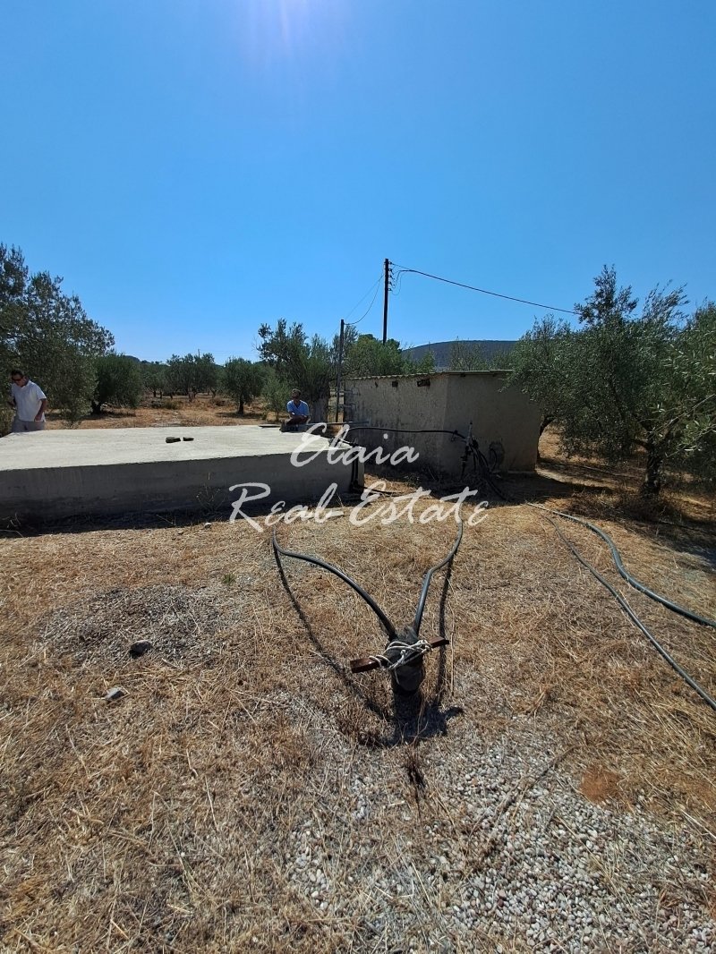 Land in Ermioni, Peloponnese, Western Greece and the Ionian, Greece 1 - 13332066
