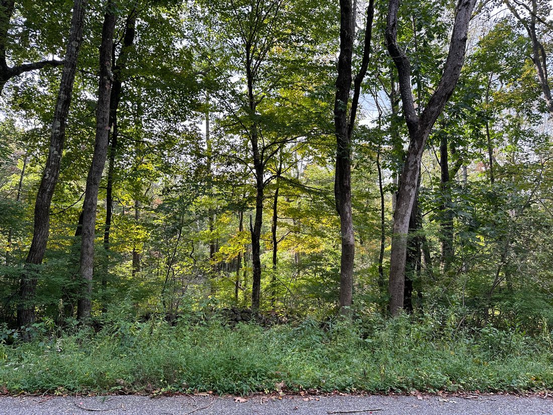 Land in Warren, Connecticut, United States 2 - 13334106