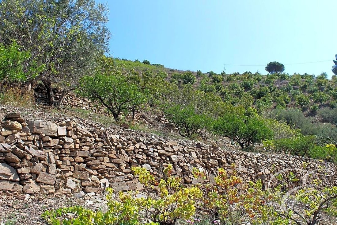 Torrox Country House In Torrox, Andalusia, Spain For Sale (13333029)