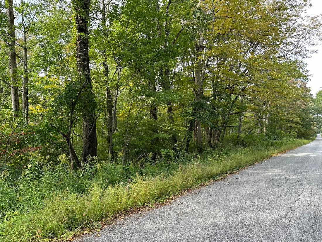 Land in Warren, Connecticut, United States 3 - 13334106