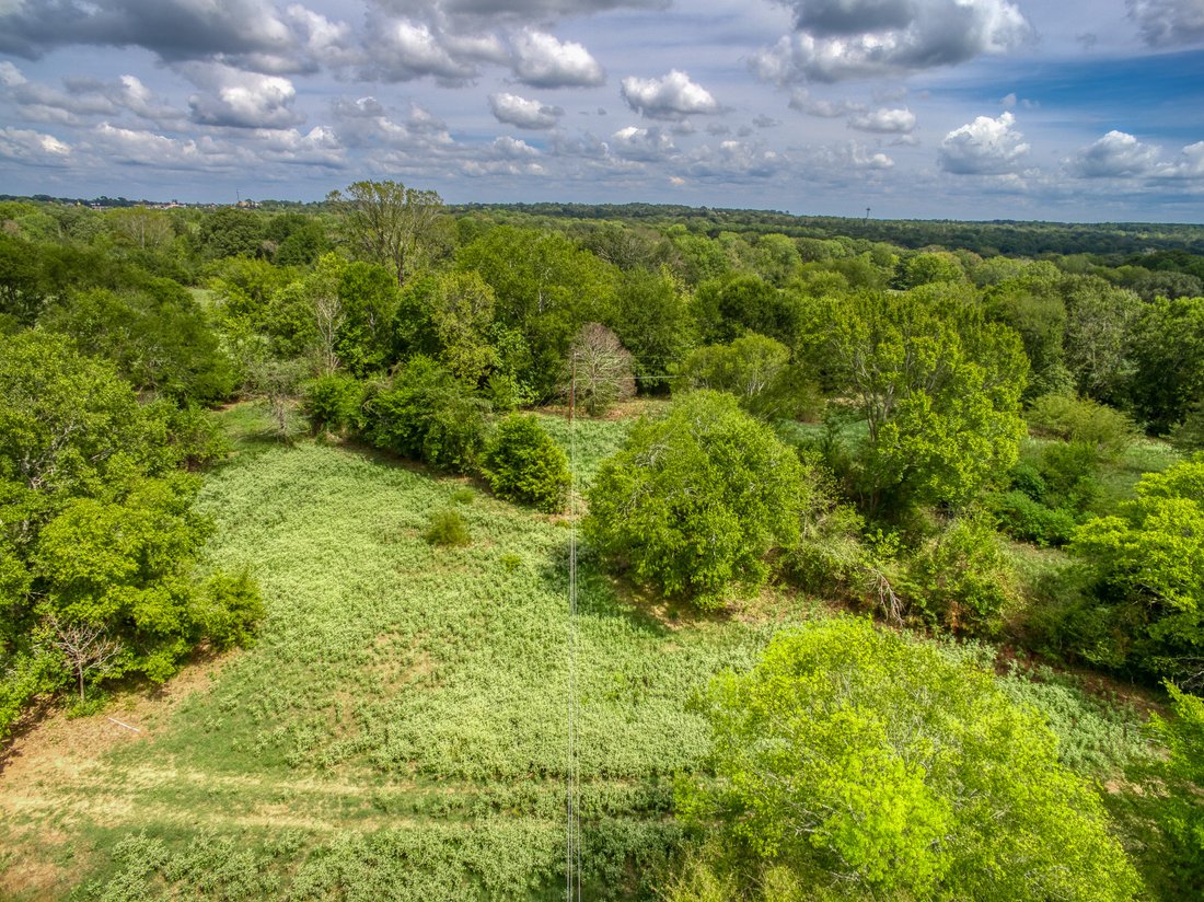 156 Acres In Palestine In Palestine, Texas, United States For Sale